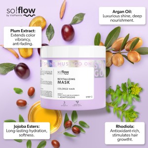 Soflow Color Mask - 400ml