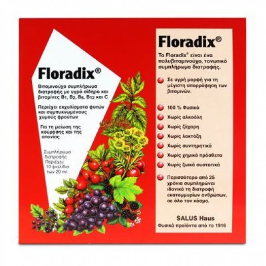 Floradix Liquid Iron Formula 10 amp x 20 ml