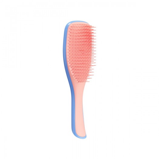 Tangle Teezer Hair Brush Wet Detangling For All Hair Types, Blue Peach
