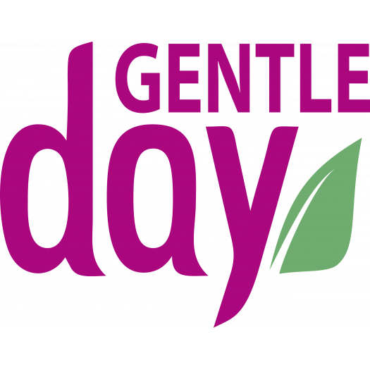 Gentle Day Bamboo Wipes, 10pc